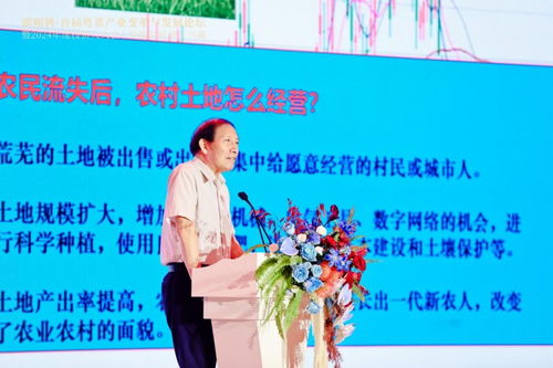 粵菜變革 抓住時代風口，以“新味”走出“圍城”